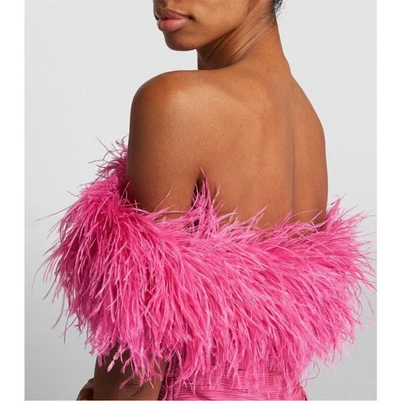 rachel gilbert pink feather dress Rent Rachel Gilbert Pink Xanthy Feather-Trimmed Gown